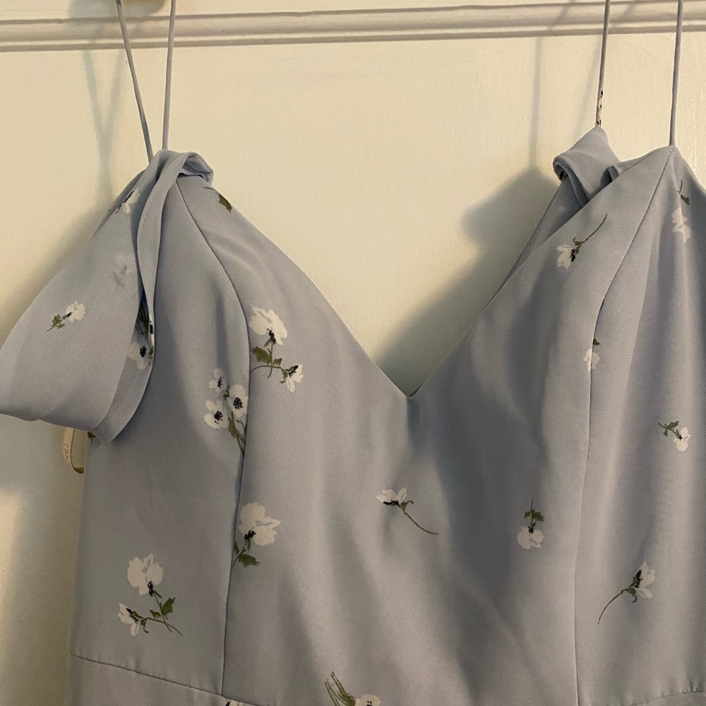 Baby Blue Jenny Yoo Dress